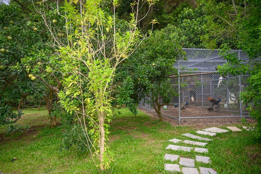 桃園蘇家莊園