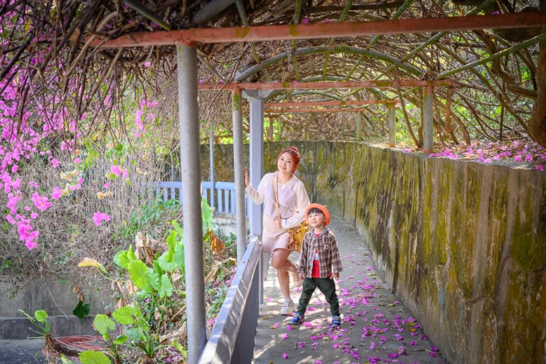 高雄三桃山森林園區|我們去過才知道,紫花藤架配彩繪隧道,還有星門拍照超好看 12 高雄三桃山森林園區|我們去過才知道,紫花藤架配彩繪隧道,還有星門拍照超好看