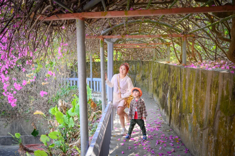 高雄三桃山森林園區｜我們去過才知道，紫花藤架配彩繪隧道，還有星門拍照超好看