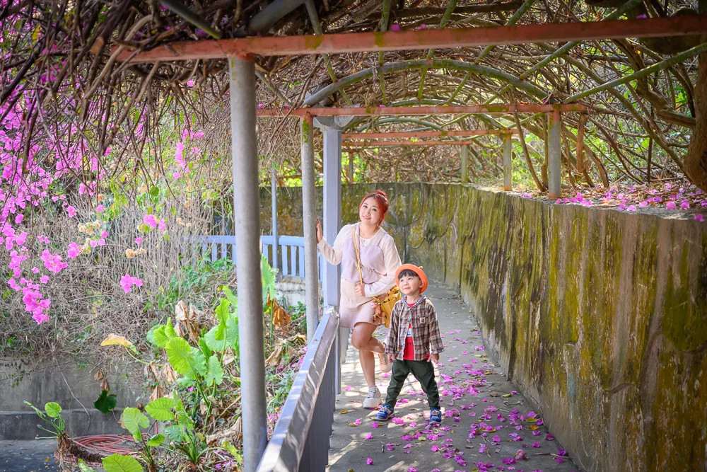 高雄三桃山森林園區｜我們去過才知道，紫花藤架配彩繪隧道，還有星門拍照超好看