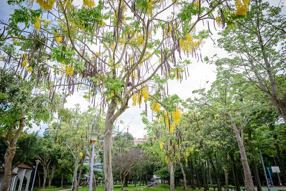 新北溪北生態公園