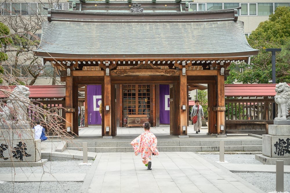 日本福岡-警固神社｜寺廟、木造建築、瓦屋頂、和服女孩、石獅子、石階、圍欄、樹木、建築物。