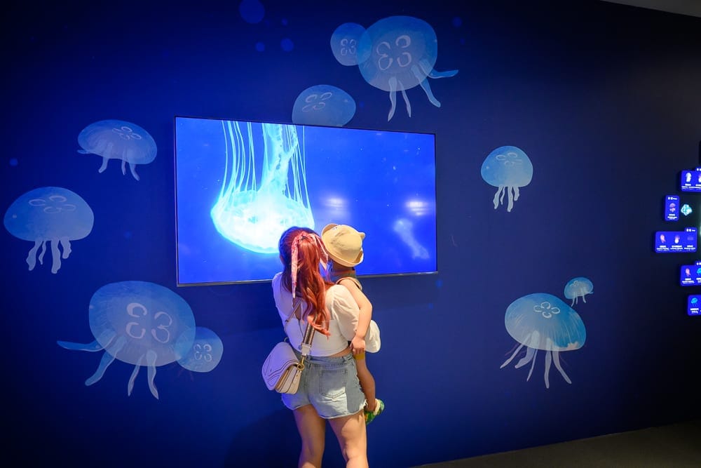 台中海洋館 Taichung Aquarium 完整攻略|大洋池水母與互動觸摸展區玩法解析 6 台中海洋館 如何抵達台中海濱里館區