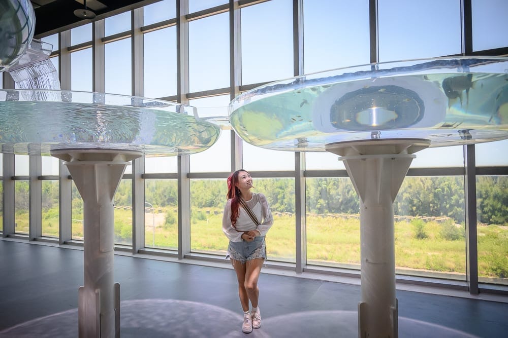 台中海洋館 Taichung Aquarium 完整攻略|大洋池水母與互動觸摸展區玩法解析 9 台中海洋館|室內,展覽場,落地窗,草地,樹林,女人,圓盤,水。
