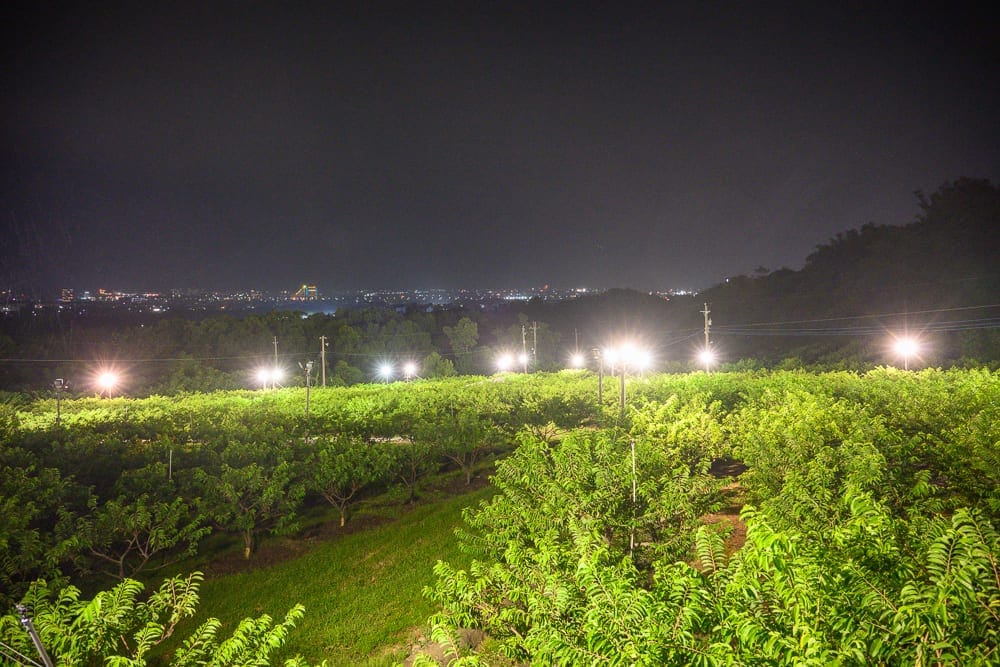 台東倆吆久景觀餐廳 細節