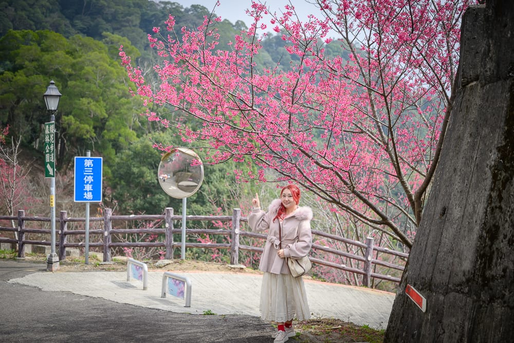 協雲宮 - 協雲宮票價、交通與適合對象