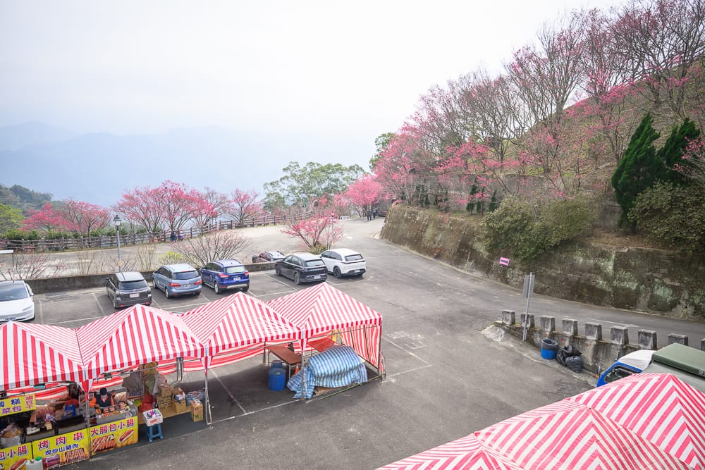 協雲宮 - 協雲宮在哪？位置、規模與遊玩動線