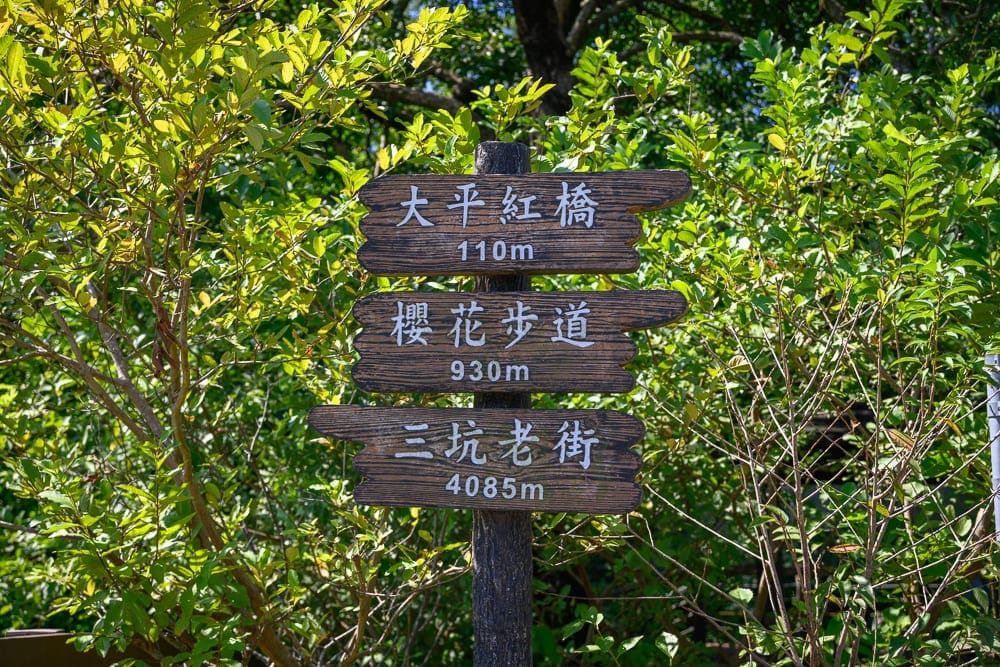 桃園石門大草坪
