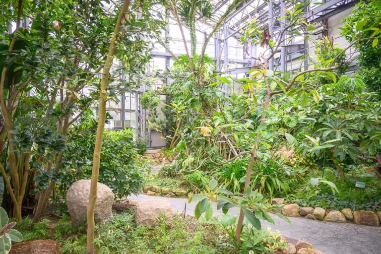 日本大阪-戶田川綠地公園｜室內、植物園、溫室、石頭、道路。