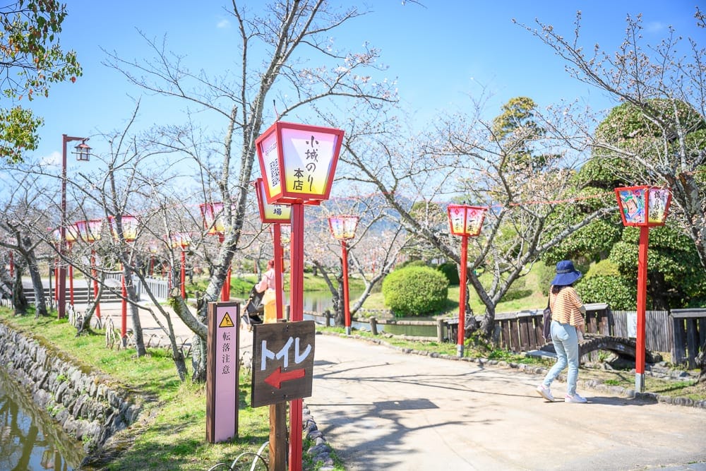 日本佐賀-小城公園櫻花｜道路、紅色燈籠、樹、草坪、水溝，人物，藍天，綠樹。