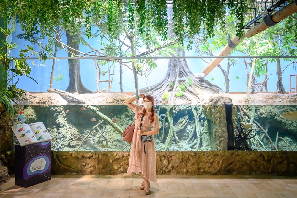 桃園Xpark夜宿體驗｜室內，展覽，樹，魚缸，石頭，植物，地板，女人。