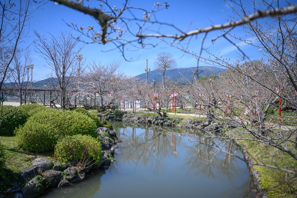 日本佐賀-小城公園櫻花｜池塘、綠草、樹、山、橋、藍天。