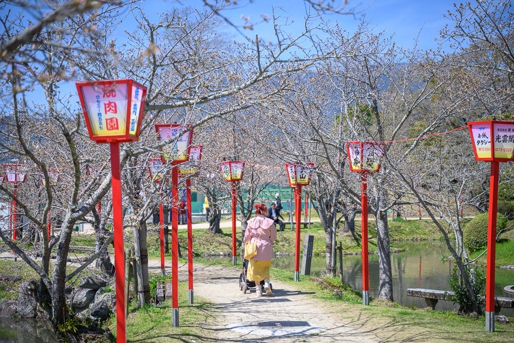日本佐賀-小城公園櫻花｜石板路、草地、水池、樹、燈籠、行人。