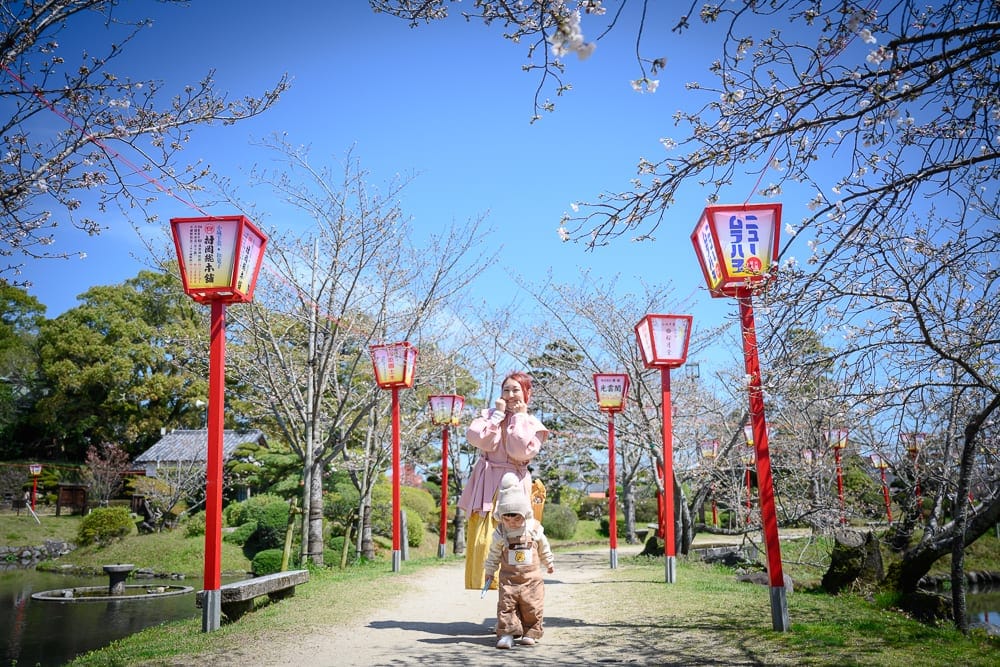 日本佐賀-小城公園櫻花 從佐賀市前往小城公園
