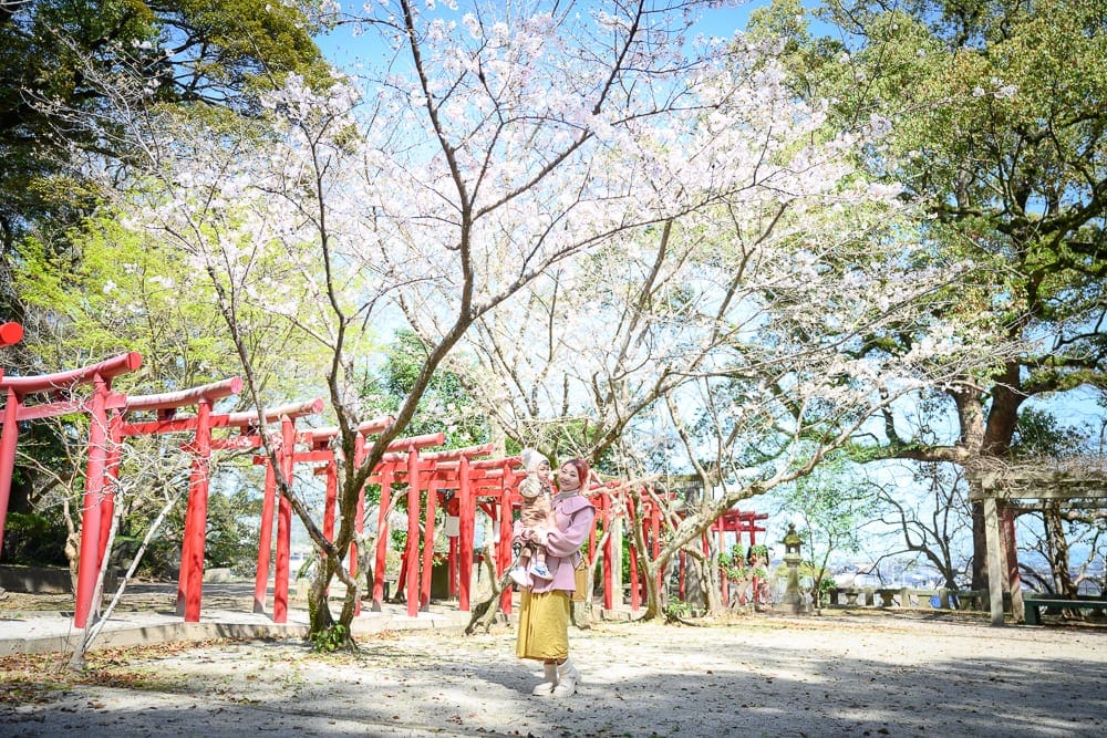日本佐賀-小城公園櫻花 池塘、草地到神社院落的漫遊動線
