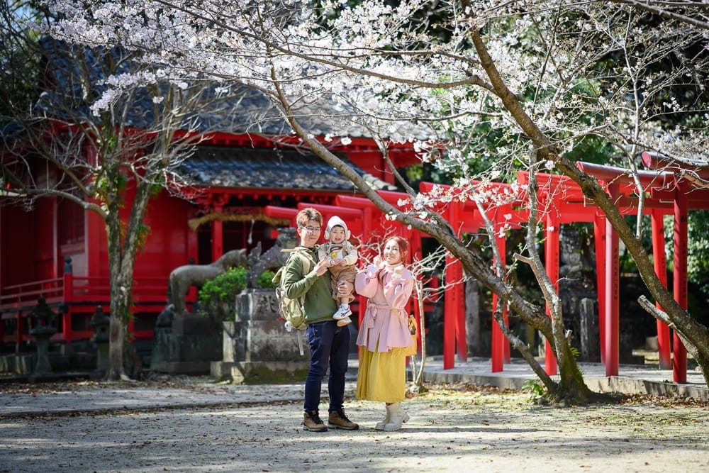 日本佐賀-小城公園櫻花 賞花時機與現場注意事項