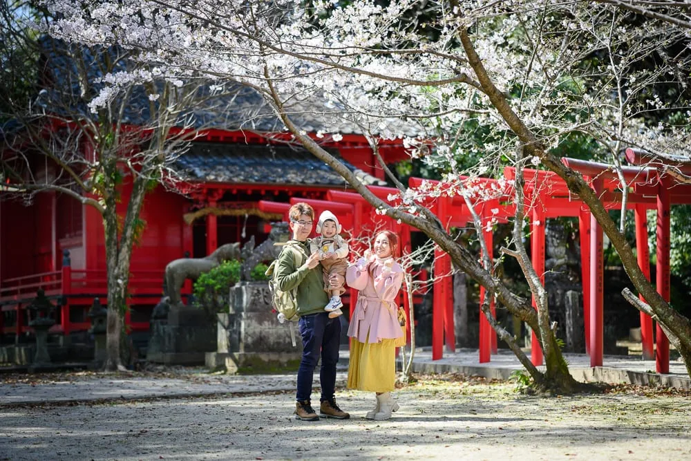 日本佐賀小城公園櫻花完整指南|紅鳥居與粉櫻共景玩法解析 4 日本佐賀-小城公園櫻花 賞花時機與現場注意事項