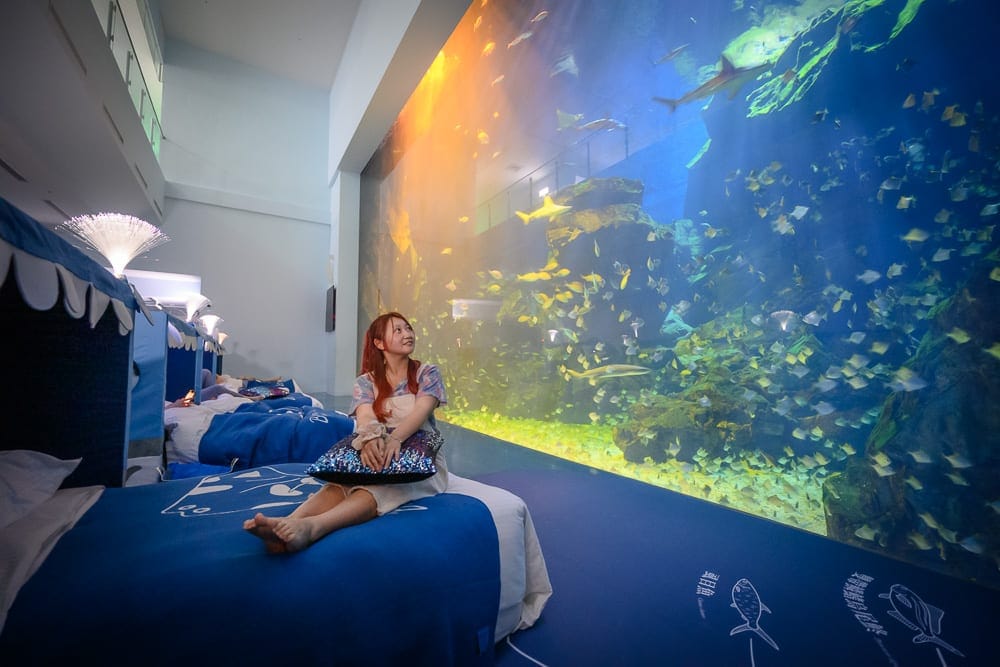 桃園Xpark夜宿體驗 藍色主題床鋪與水族箱窗景