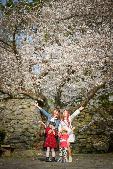 日本福岡-舞鶴公園櫻花｜櫻花、樹、石牆、路面，兩大人兩小孩，雙臂展開，紅色、白色衣服，歡樂、戶外。