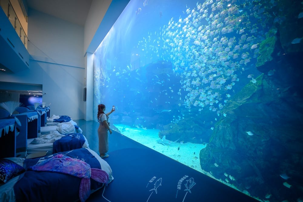 桃園Xpark夜宿體驗｜室內，床鋪，魚群，水族箱，牆壁，樓層欄杆。