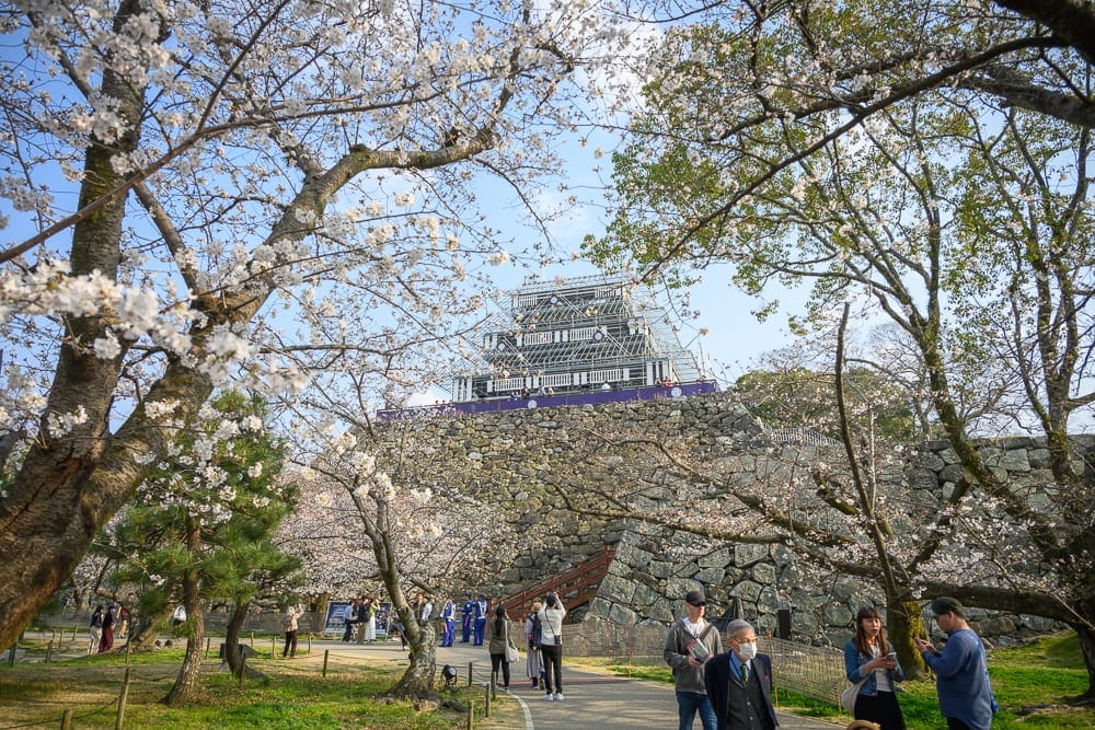 日本福岡-舞鶴公園櫻花 步行路線、停留時間與護城河倒影構圖技巧