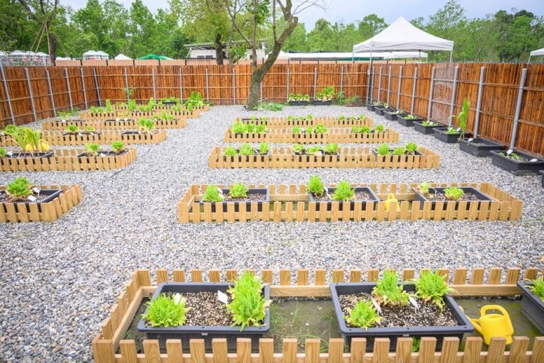 宜蘭遛遛三星｜園藝區、木柵欄、種植箱、植物、碎石、樹、白色帳篷、木圍欄。