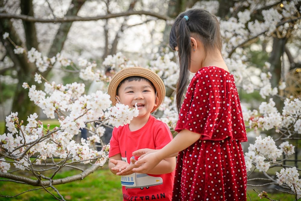 日本福岡-舞鶴公園櫻花｜兩個小孩，樹，花。男孩穿紅色上衣戴草帽，女孩穿紅色波點裙，雙手觸碰櫻花，微笑對視，戶外綠地，樹木滿開