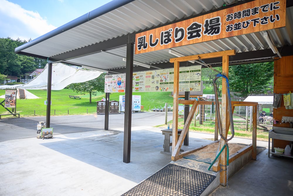 日本靜岡-馬飼野牧場完整攻略|牧場體驗與牛奶甜點精選推薦 3 馬飼野牧場乳しぼり擠牛奶體驗會場