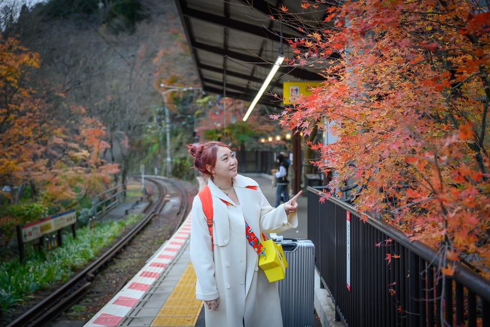 日本京都貴船神社 秋葉紅綠交織的山林光影