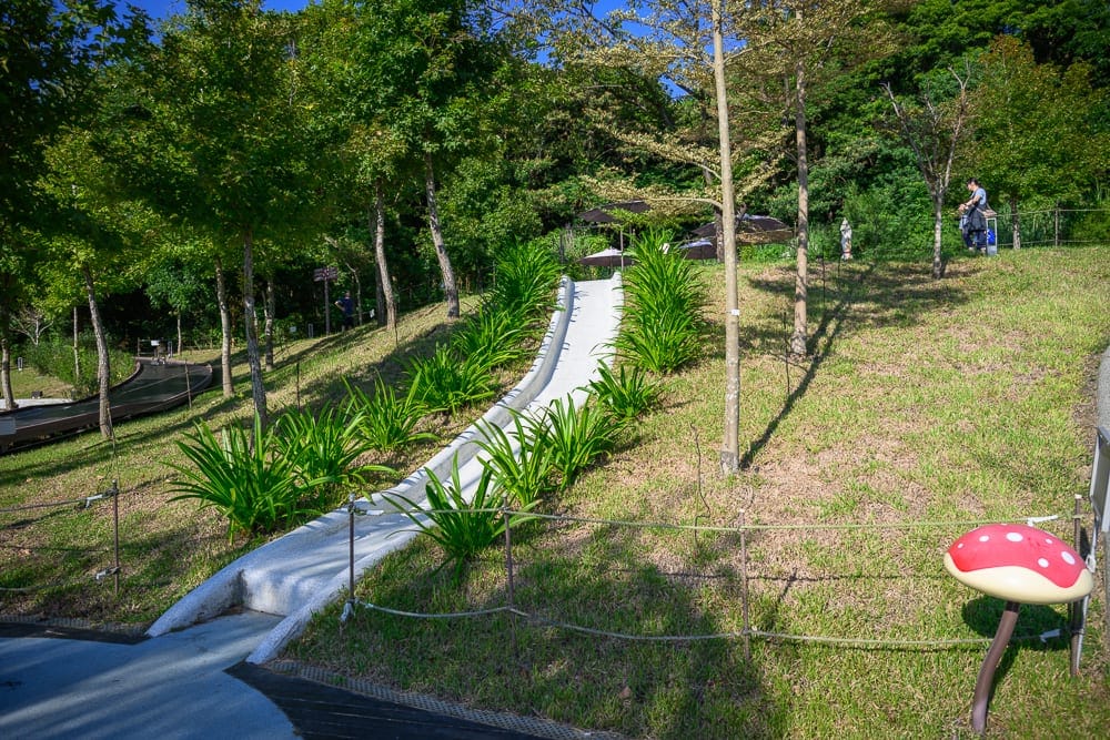 桃園大有梯田生態公園 梯田稻田景觀與園區設施