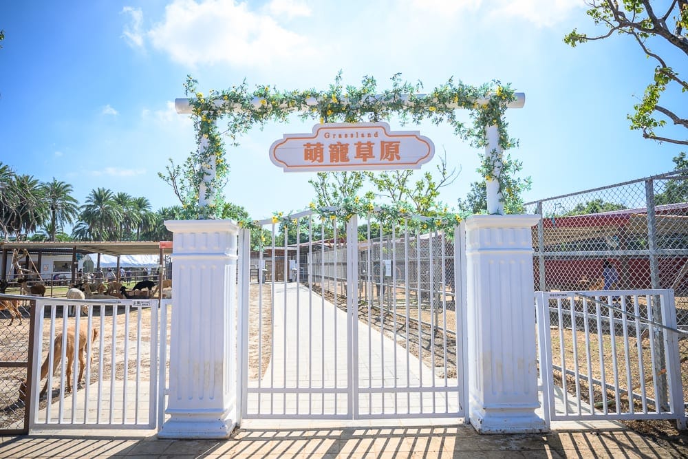桃園埔心牧場萌萌村完整攻略|親子動物互動與園區玩法解析 7 桃園埔心牧場萌萌村|白色大門、白色柱子、綠色藤蔓、黃色花、棕榈樹、藍天、白雲、欄杆、鐵絲網、建築物、動物。
