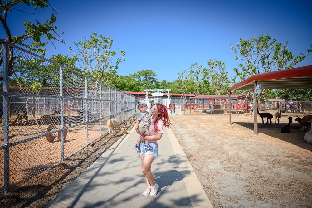 桃園埔心牧場萌萌村完整攻略|親子動物互動與園區玩法解析 9 桃園埔心牧場萌萌村|鐵欄杆圍欄、動物園或動物保護區、樹、母女、紅頂遮陽棚、動物、圍欄、欄杆、道路、人行道。