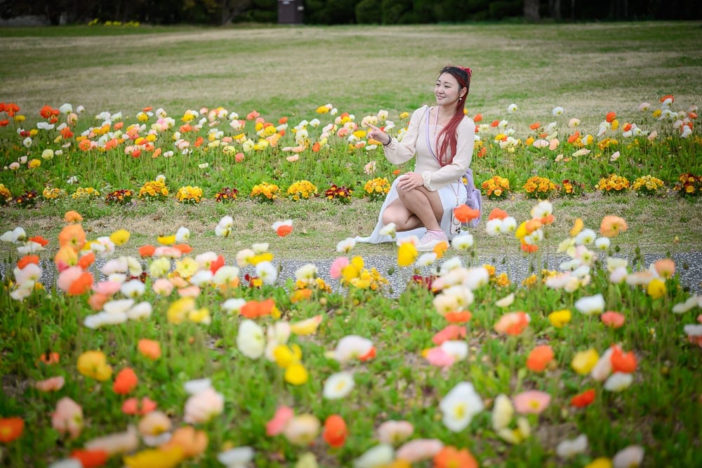 日本福岡-海中之道海濱公園｜花園、草地、彩色花朵，女子，白色衣服，跪坐。