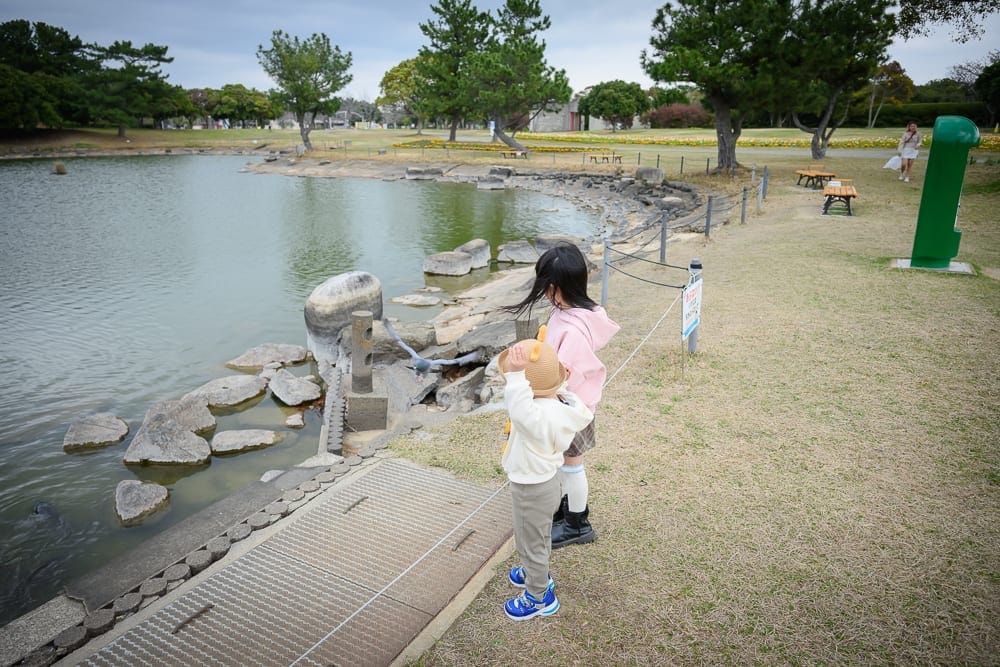 日本福岡-海中之道海濱公園 花況判斷、人潮與園區節奏