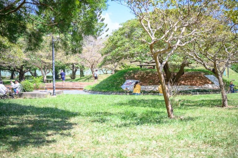 桃園埔心牧場萌萌村｜草地、樹、階梯、石椅，人、樹影，天空。公園、戶外、自然。