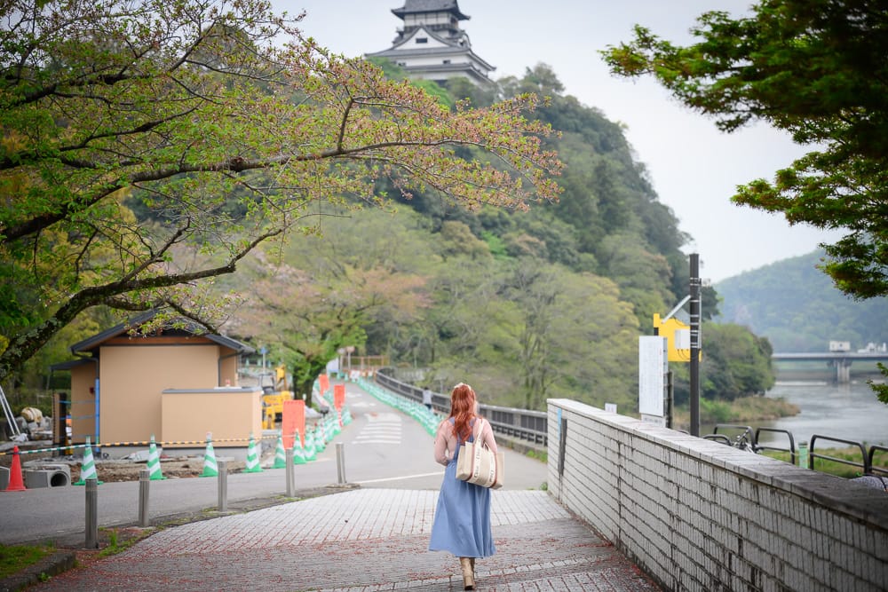 沿木曾川步道走向山上的犬山城，旁有櫻花樹