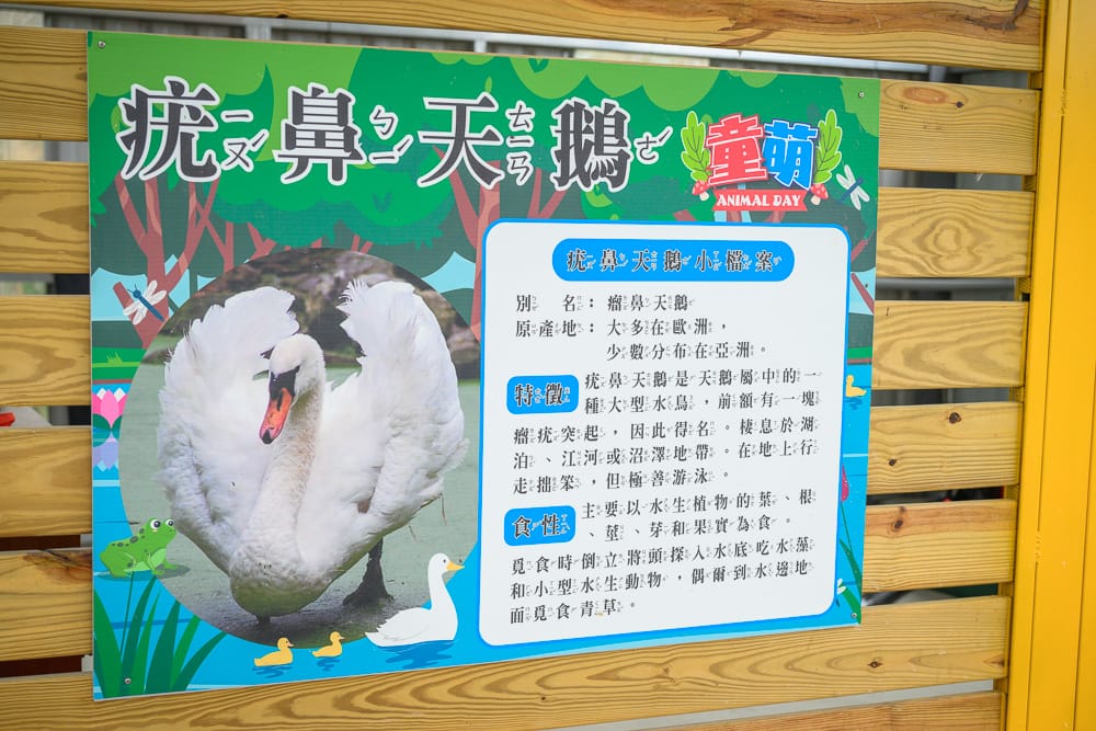 童萌農場疣鼻天鵝解說告示牌，掛在木柵欄上的動物小檔案