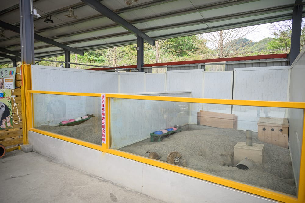 童萌農場戶外狐獴展示區，黃框玻璃圍欄與沙地，貼有請勿觸碰餵食告示