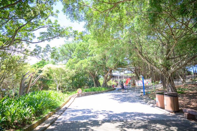 新竹親子樂園去過才知道，小叮噹科學主題玩法超多，科學互動體驗是主打