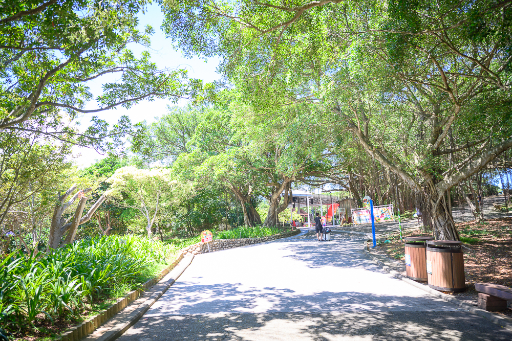 新竹親子樂園去過才知道，小叮噹科學主題玩法超多，科學互動體驗是主打