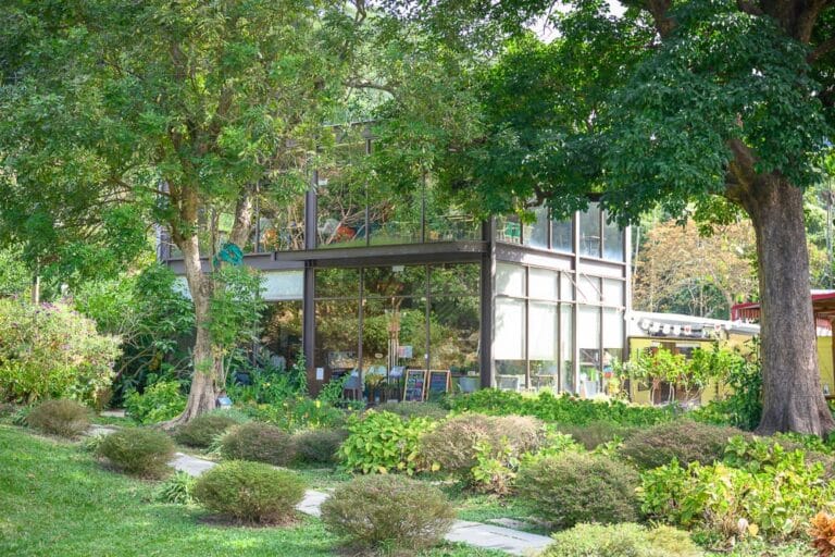 苗栗316澄香森林｜建築物、草坪、樹木、植物、道路。
