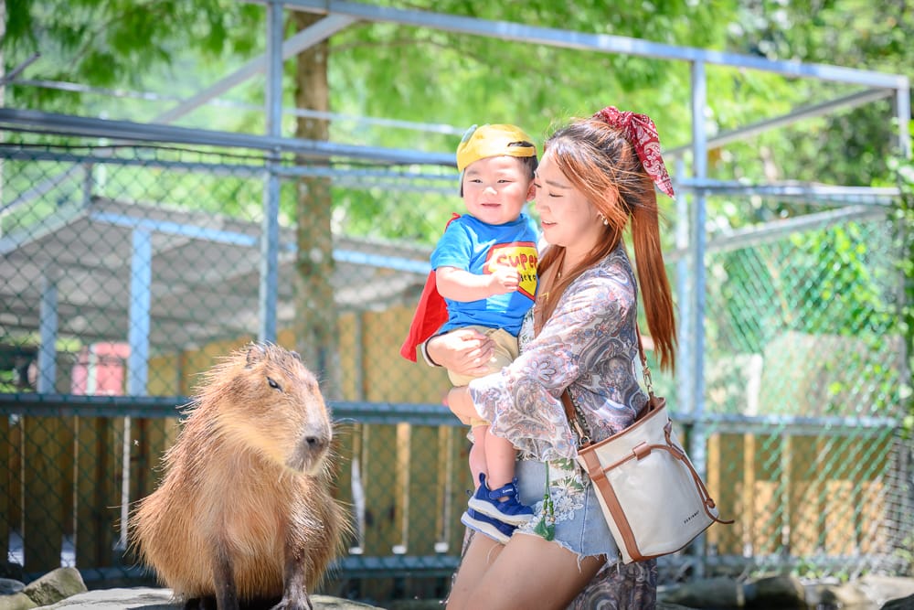 洄瀾灣親子動物園 - 洄瀾灣親子動物園的餐飲與配套設施