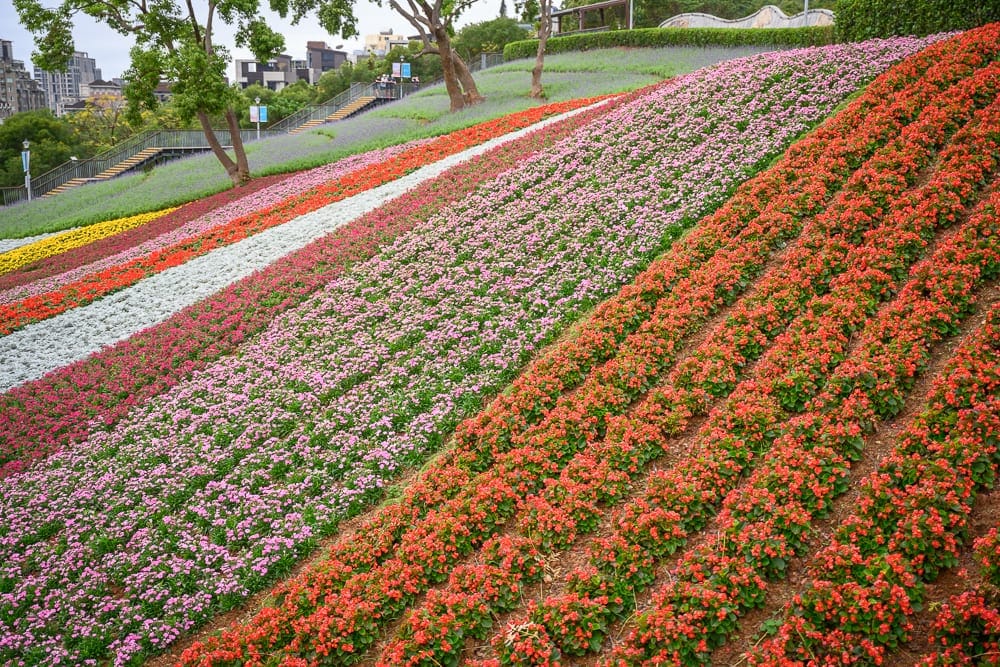 台北公園景點懶人包|4個親子免費景點推薦 2 台北三層崎公園