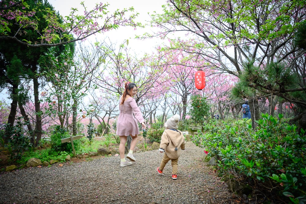 大埔農場 - 大埔農場必看亮點與主要體驗