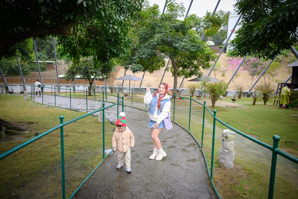 南投草屯【九九峰動物樂園】亞洲最大鳥類主題樂園,近距離餵羊駝、看恐龍之丘 7 九九峰動物園 - 附近推薦景點 / 一日遊組合