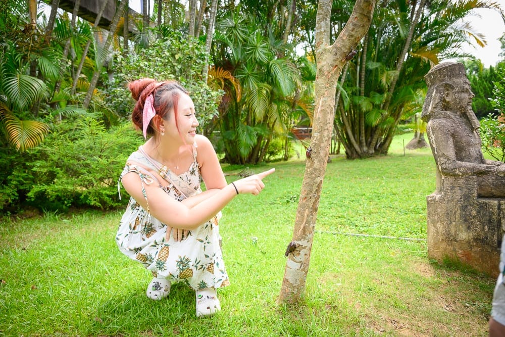 桃園小人國水樂園｜綠草地，樹，石像，熱帶植物，女人，草坪。
（或寫：綠草地、熱帶植物、樹、石像、女人）