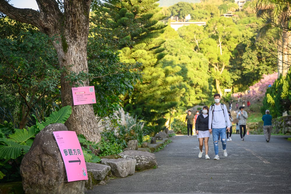 新北淡水無極天元宮|我們去過才知道,五層寶塔配夕陽山景,春天還有整片粉色櫻花林 8 淡水天元 - 淡水天元票價、交通與適合對象