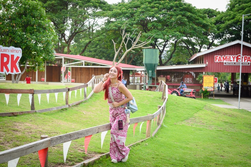 泰國芭達雅綿羊農場 藍天草地最佳拍照時機