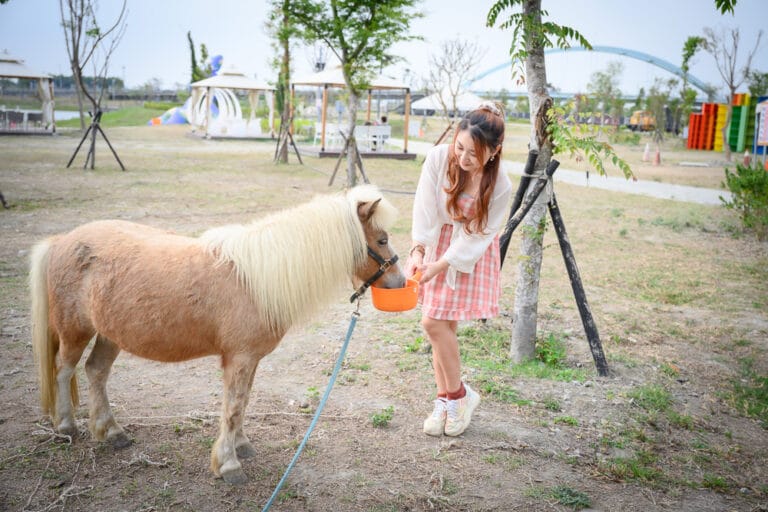 屏東潮州鐵道園區｜我們去過才知道，草地上有迷你馬可以餵食，巨型兔子裝置才是主打