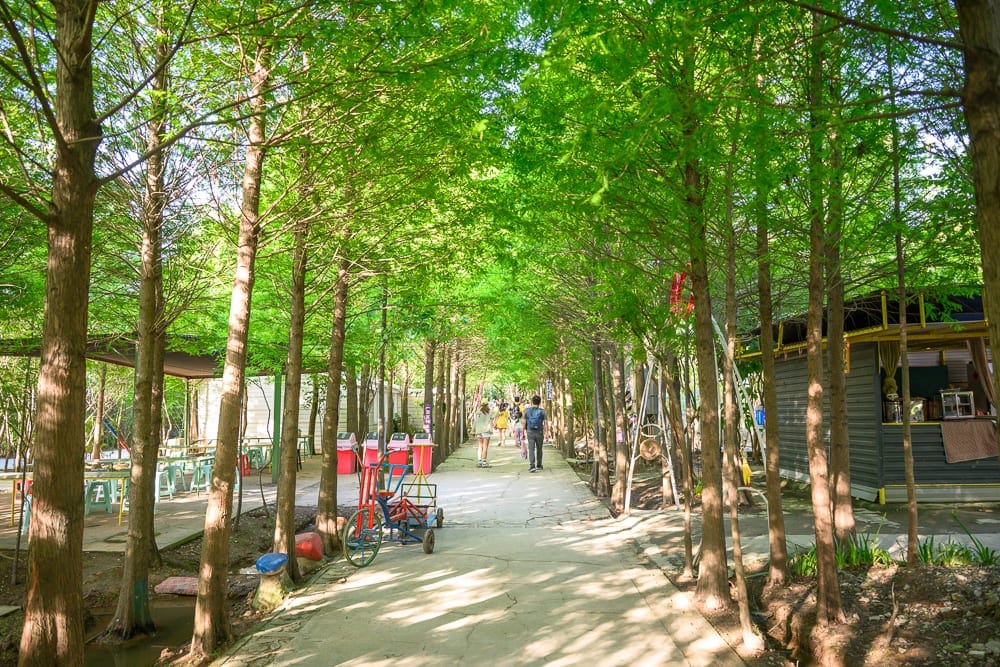 桃園野趣森林｜樹林、道路、房屋、桌椅、腳踏車、行人。